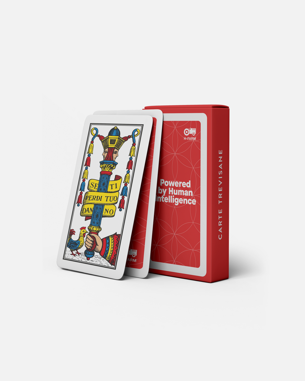 H-FARM Trevisane's Cards