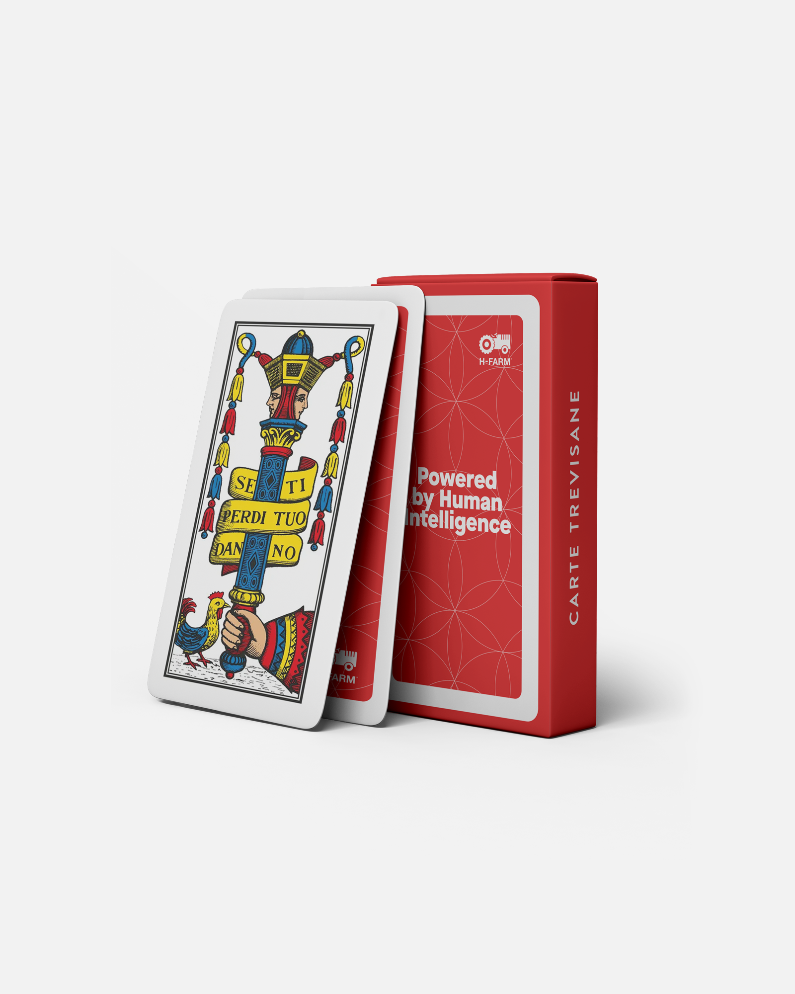 H-FARM Trevisane's Cards