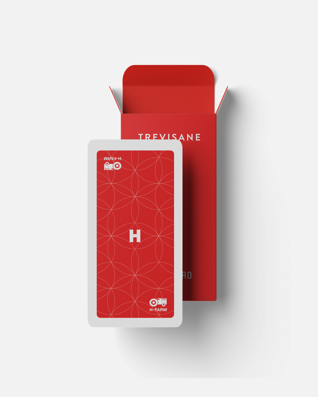 H-FARM Trevisane's Cards