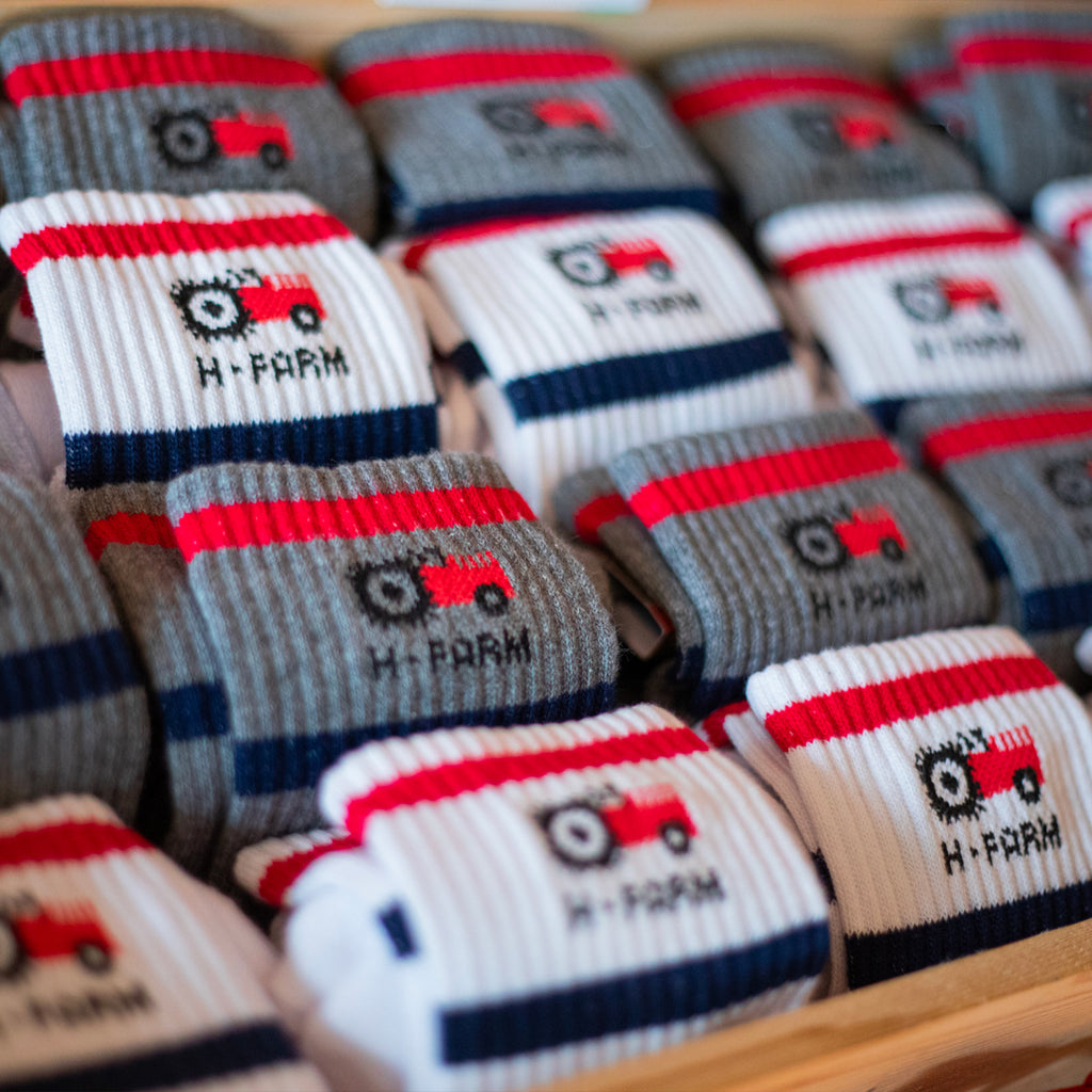 H-FARM Logo Socks